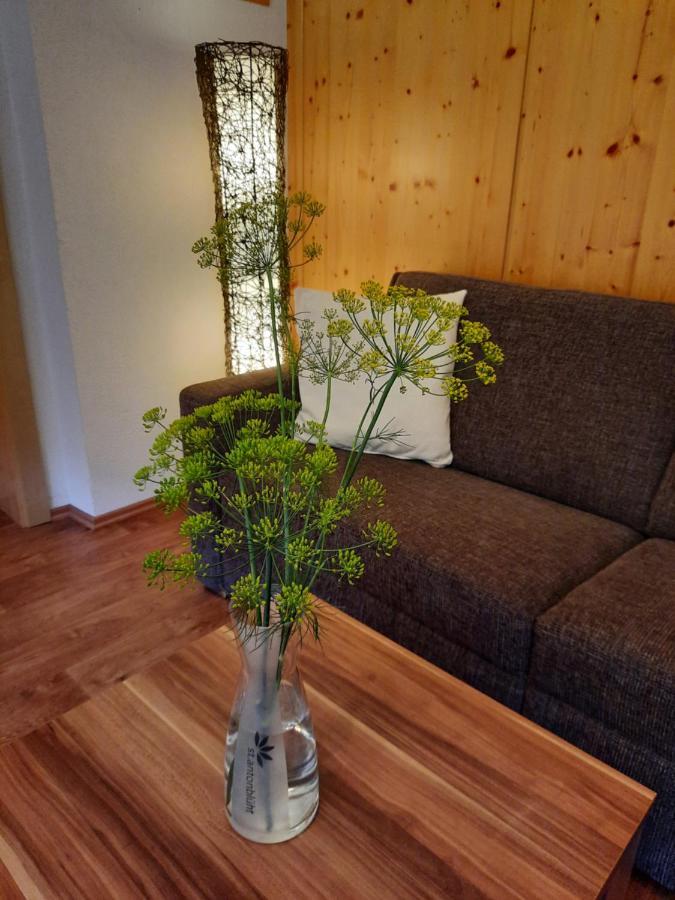 Haus Untergand Appartement Sankt Anton am Arlberg Buitenkant foto